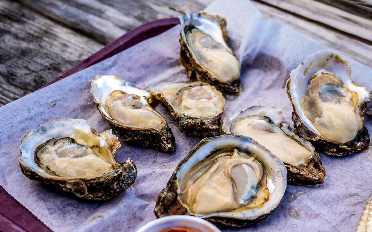 Work famous apalachicola oysters on the half shell