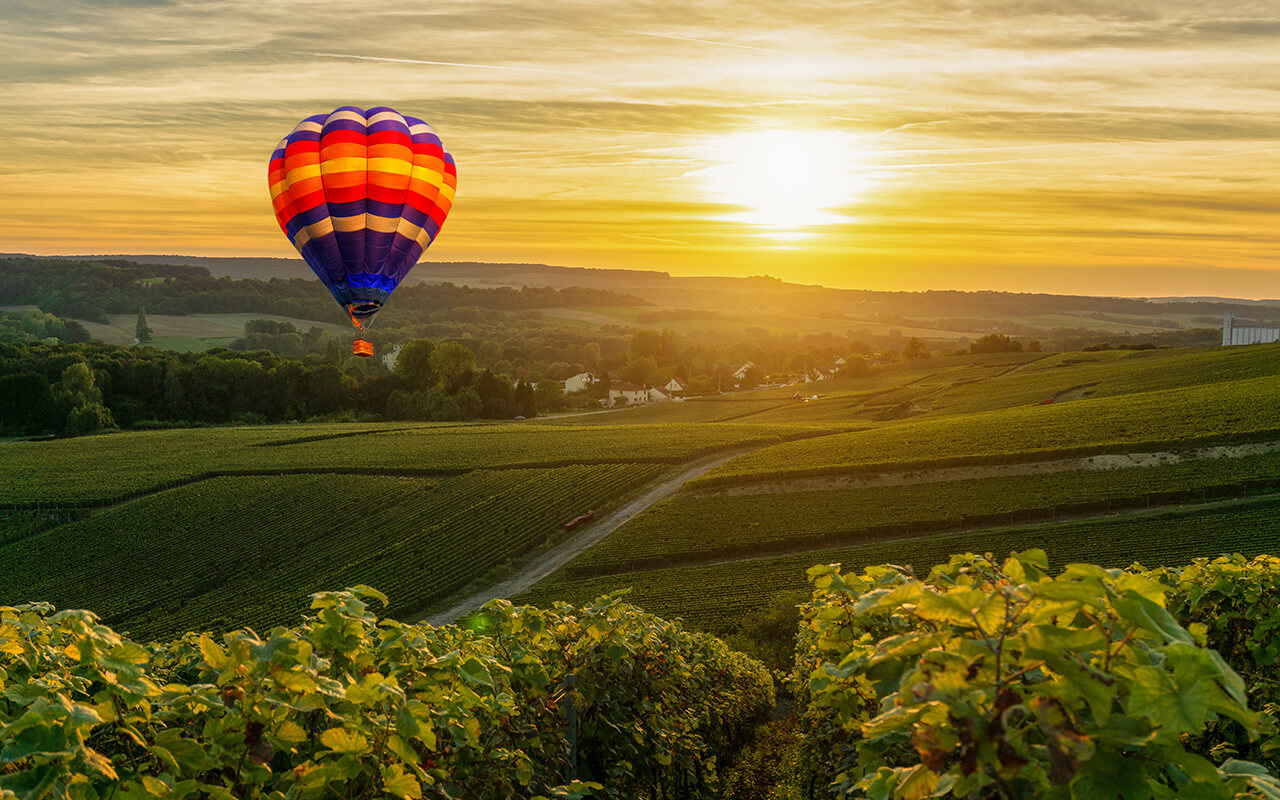 Colorful hot air balloons flying over champagne Vineyards at sunset
