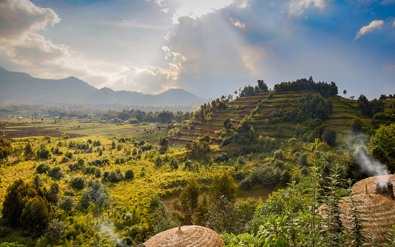 Rwanda volcanoes national park