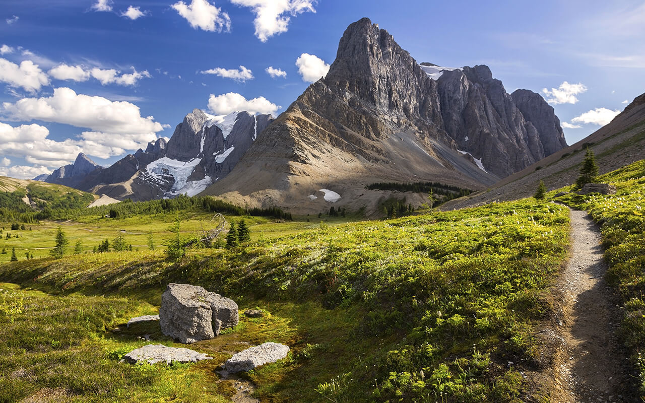 Green Alpine Meadows and Rockwall Mountain Cliffs on a Great Summertime Hiking Trail in Kootenay National Park, Canadian Rockies