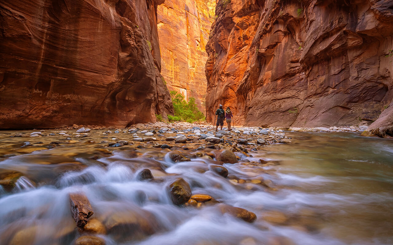 Amazing landscape of canyon in Zion National Park, The Narrow