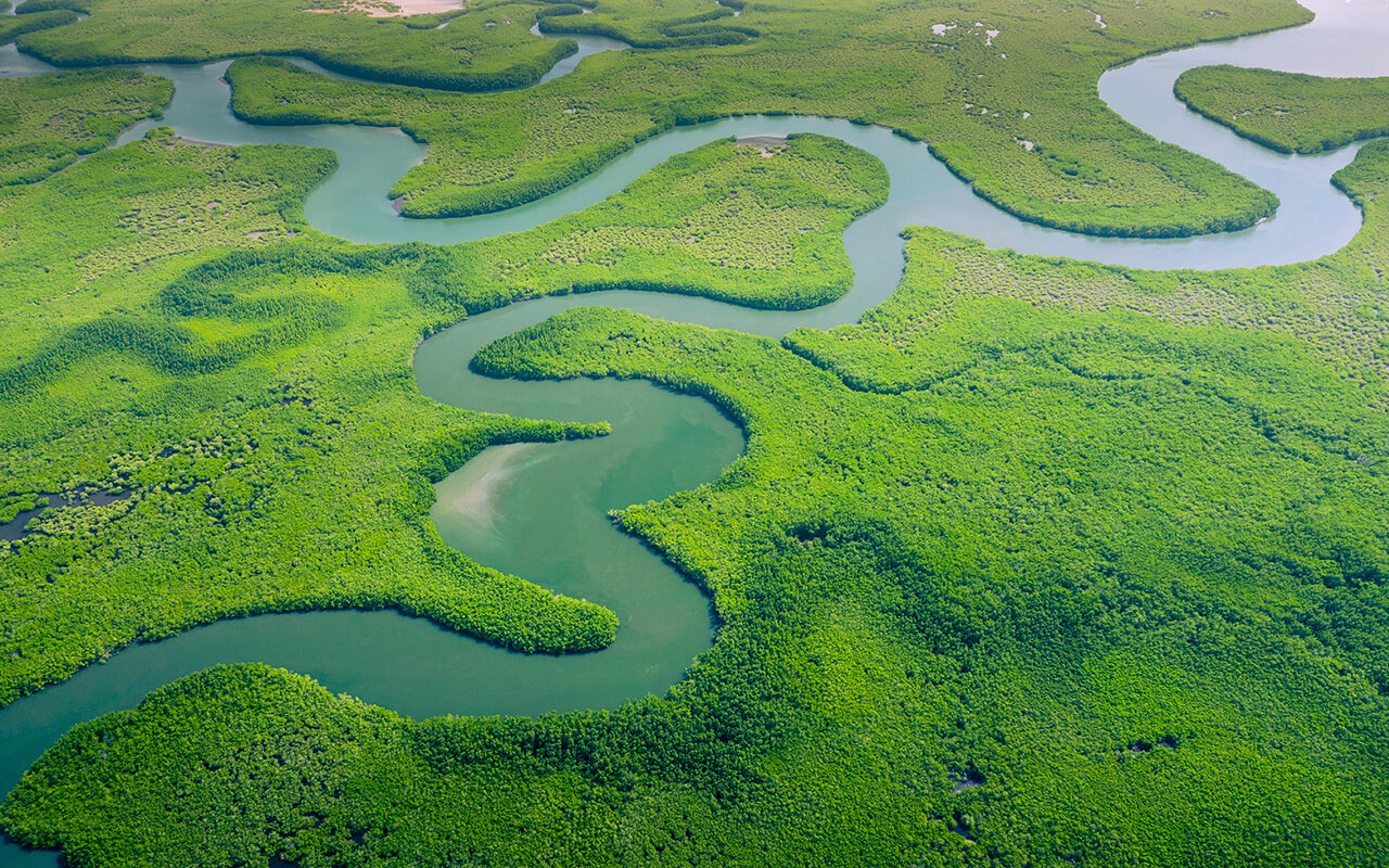 Aerial view of Amazon rainforest in Brazil, South America. 