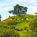 Bilbo Baggin's hobbit hole in Hobbiton village from the movies The Hobbit and Lord of the Rings