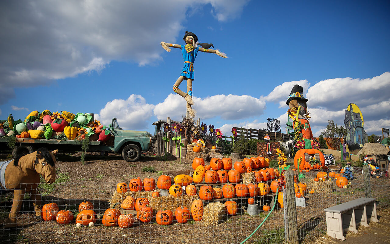 Harvest time display at a farm in the suburb of Philadelphia, Pennsylvania