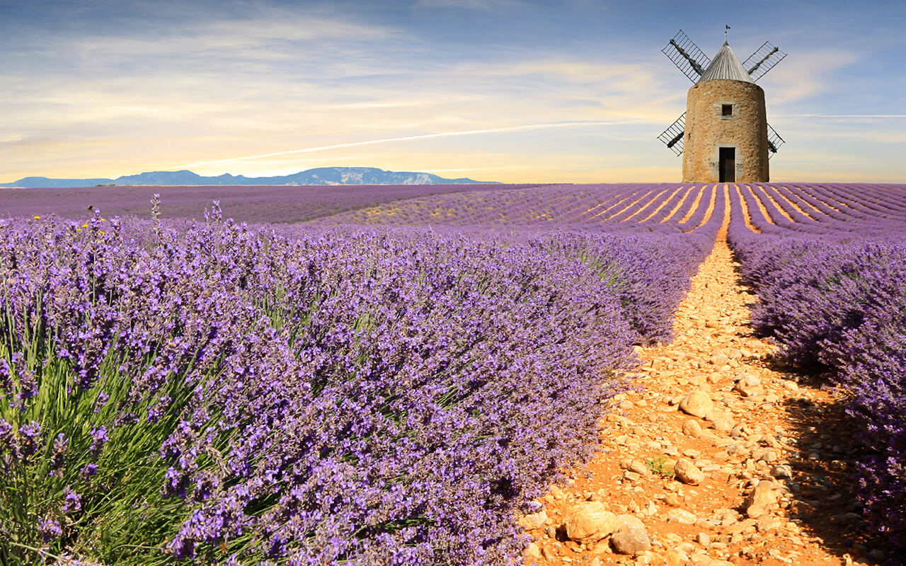 France - Provence