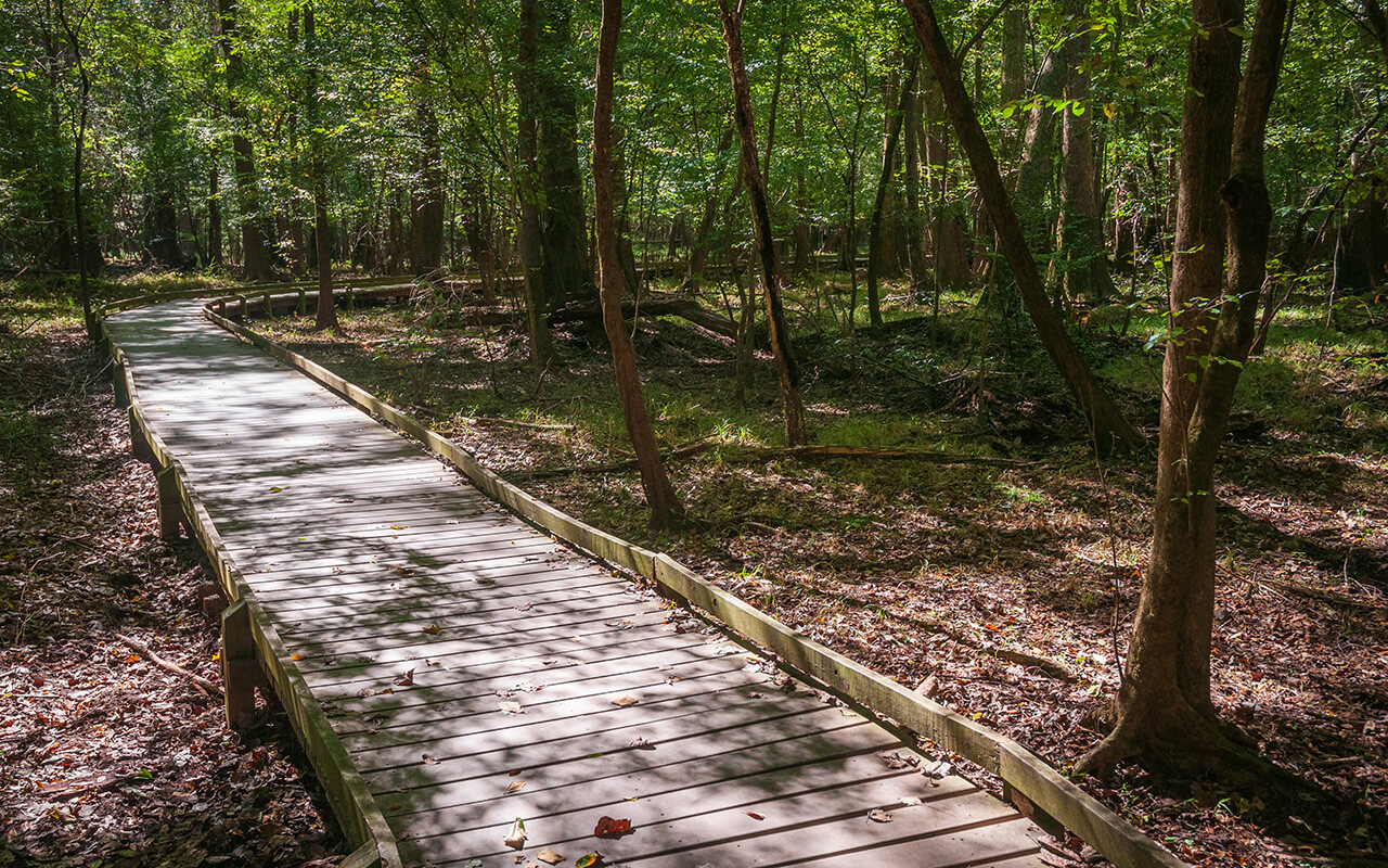 Congaree National Park