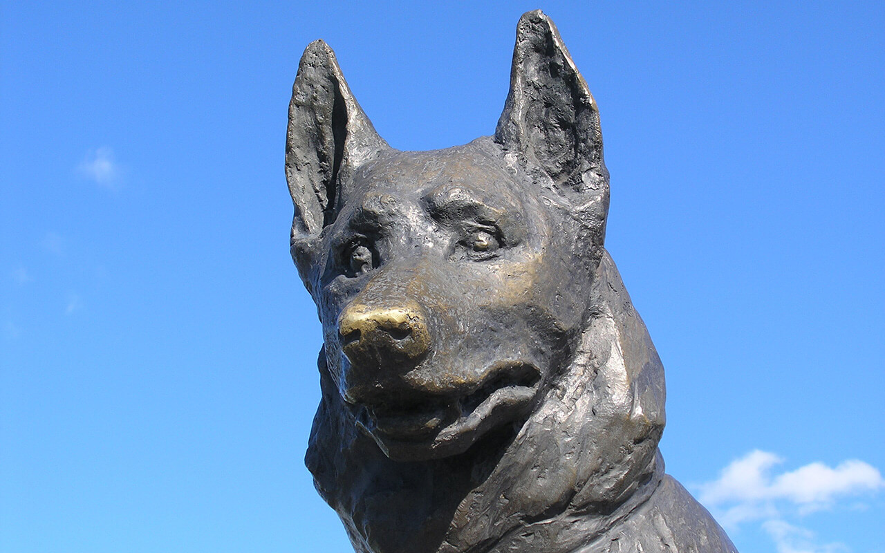 Head of the statue shows the nose polished by many hands