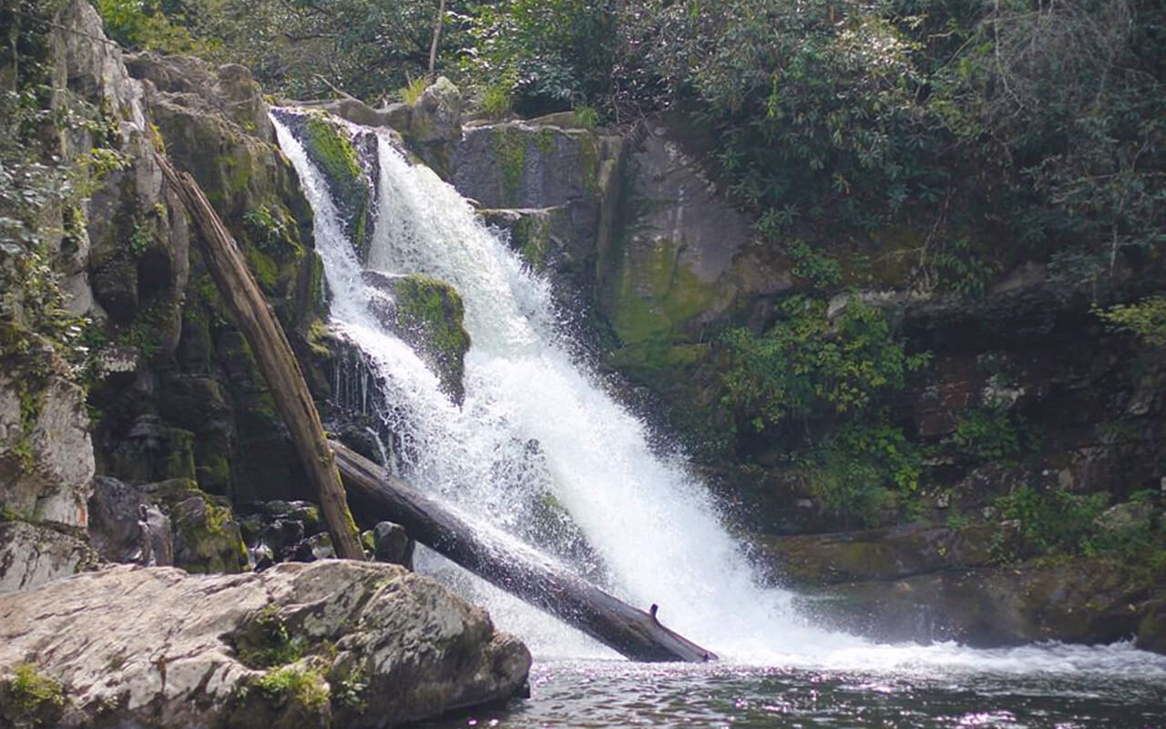 Great Smoky Mountains National Park