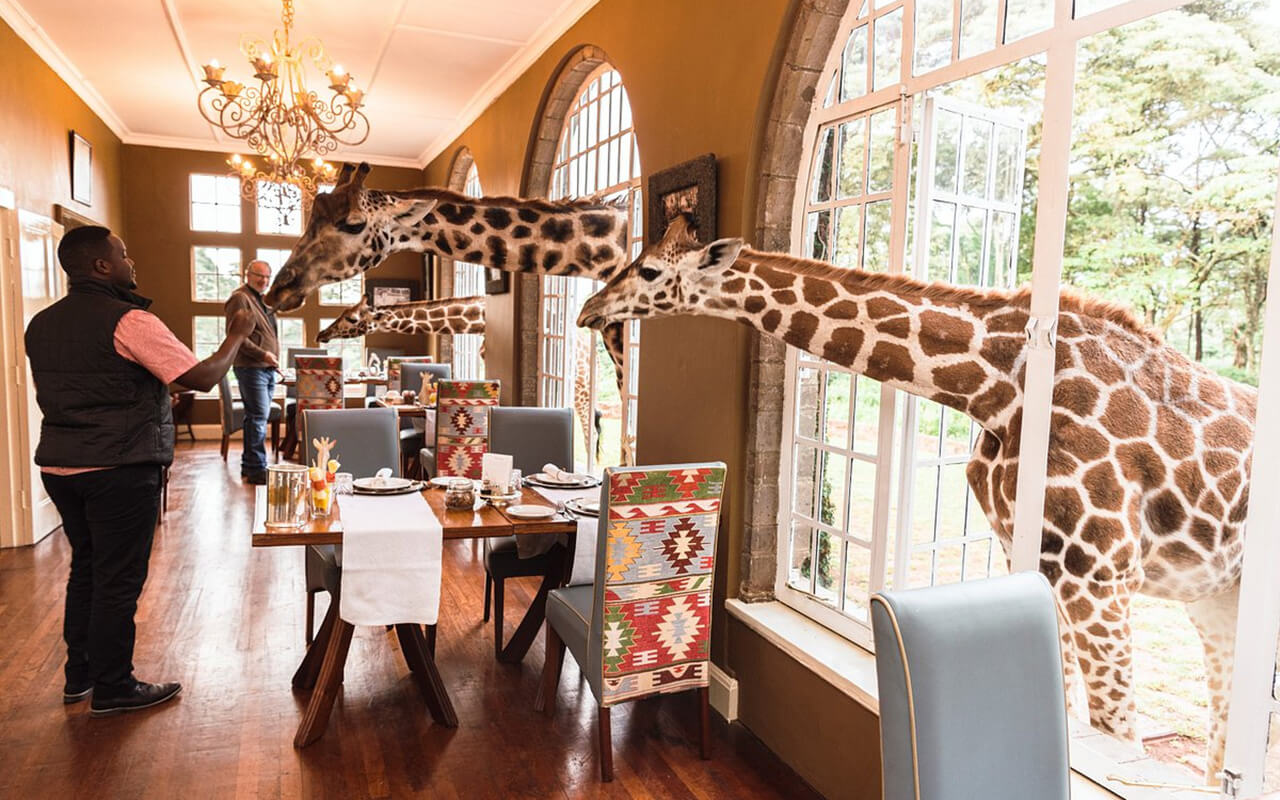 Giraffe Manor - Nairobi, Kenya