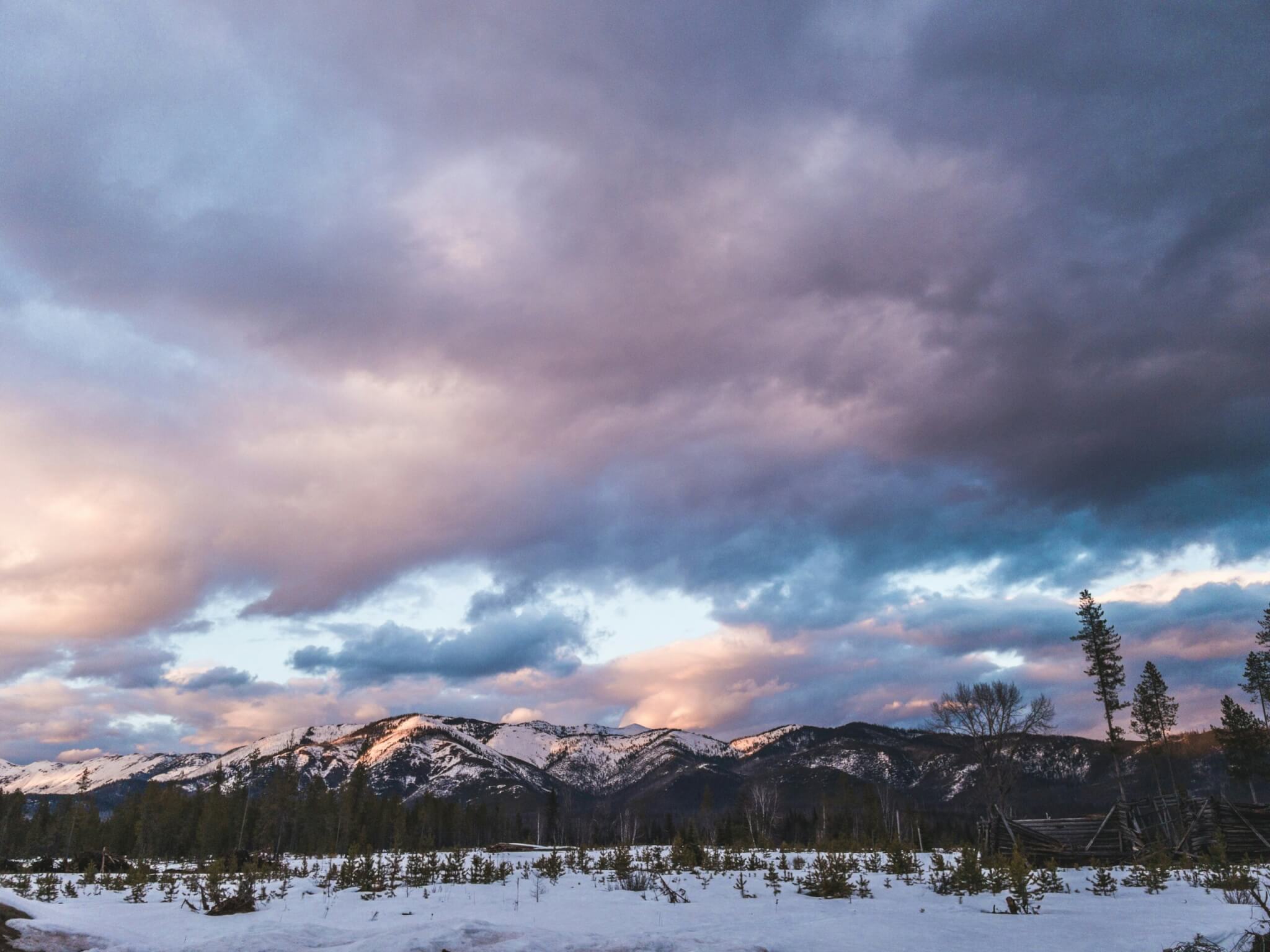 whitefish mountain