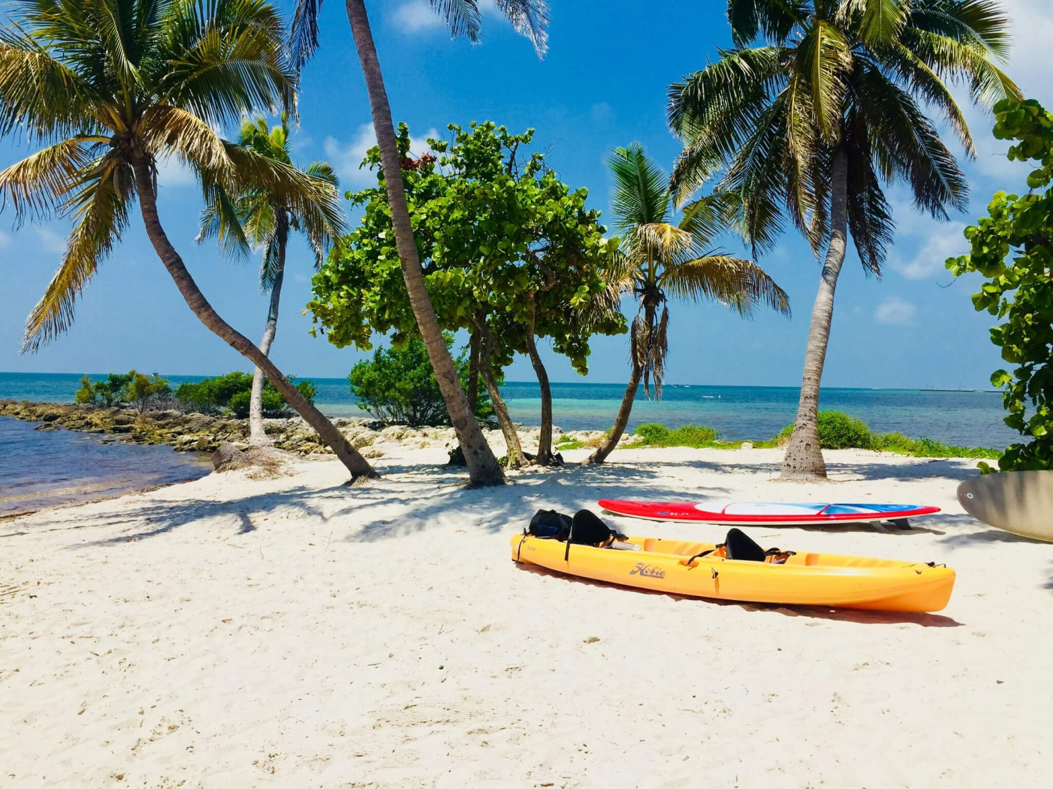 caribbean beach