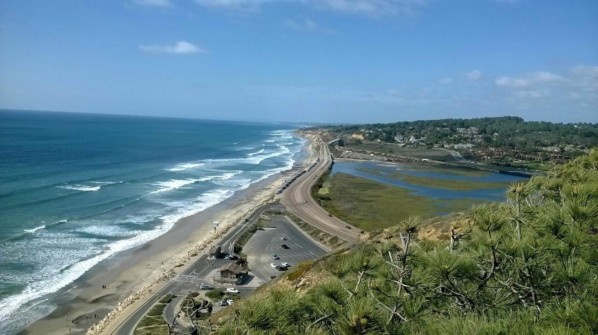 torrey pines beach