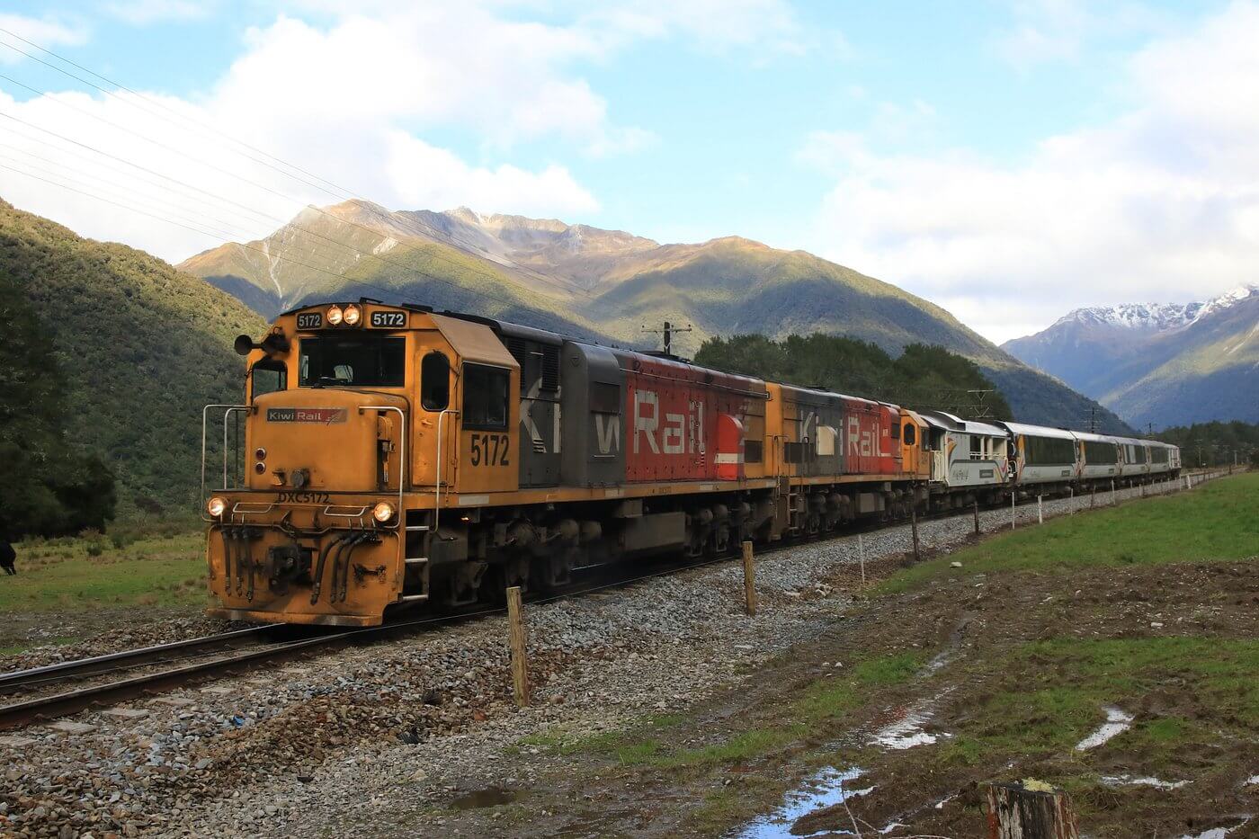 the tranzalpine