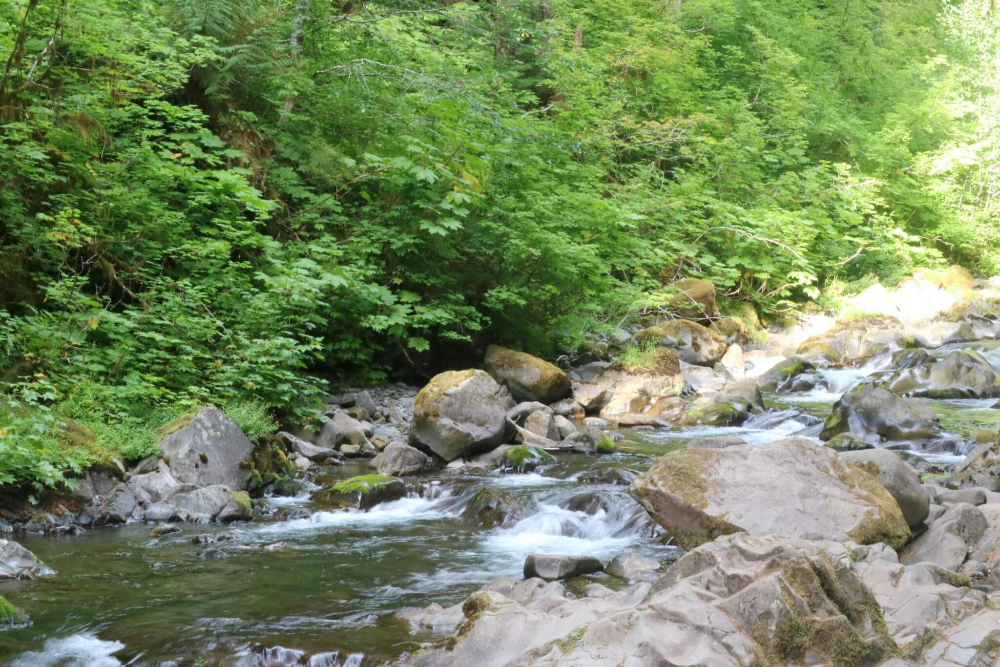 sol duc hot springs