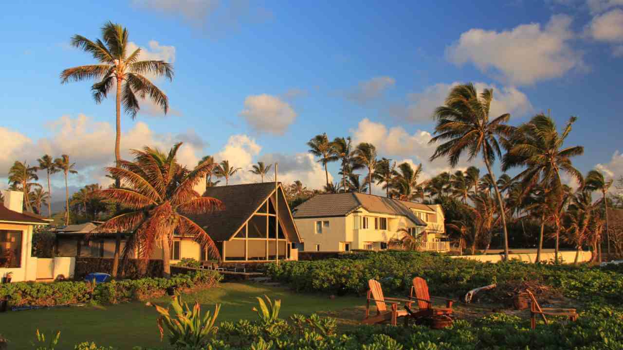 palm trees line the beach in front of a house