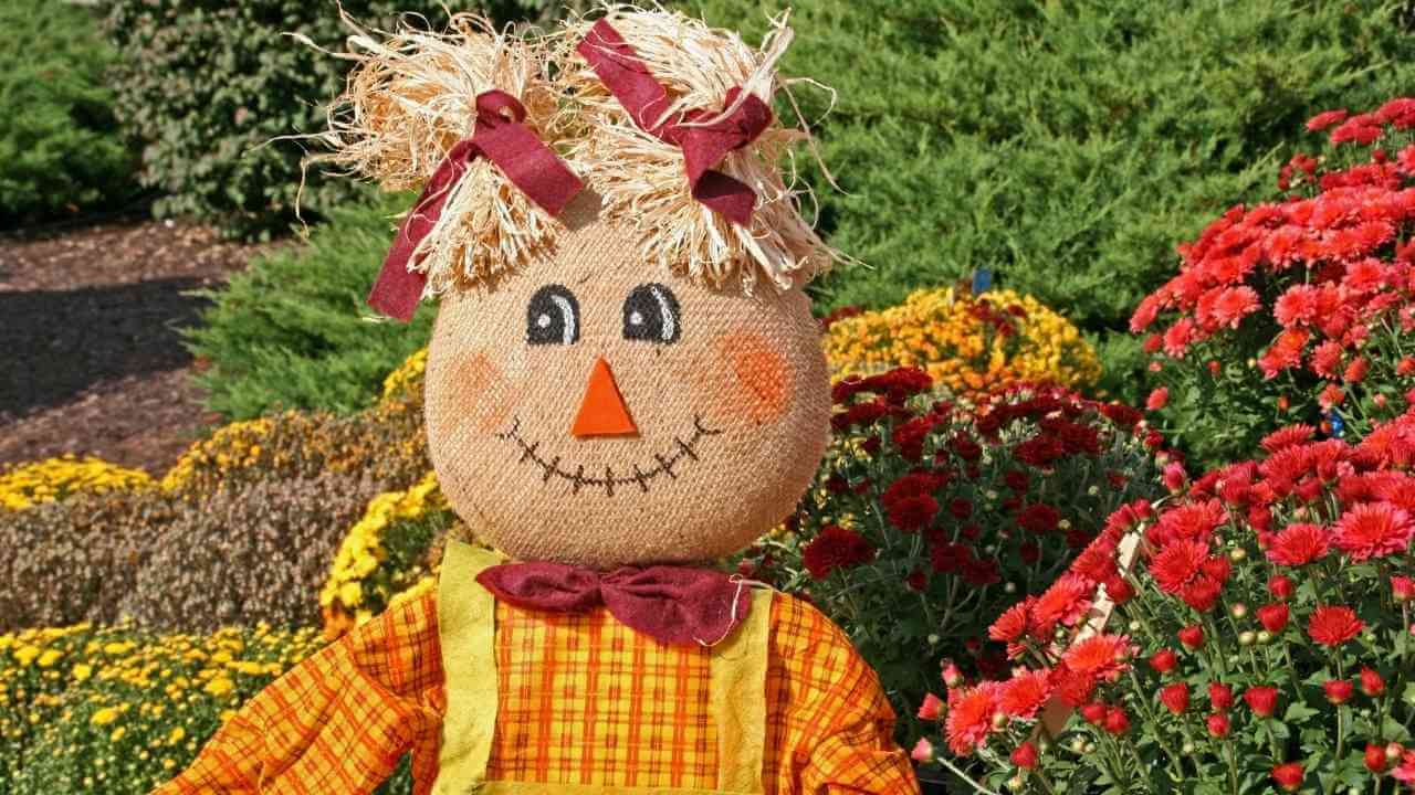 a scarecrow is standing in front of some flowers