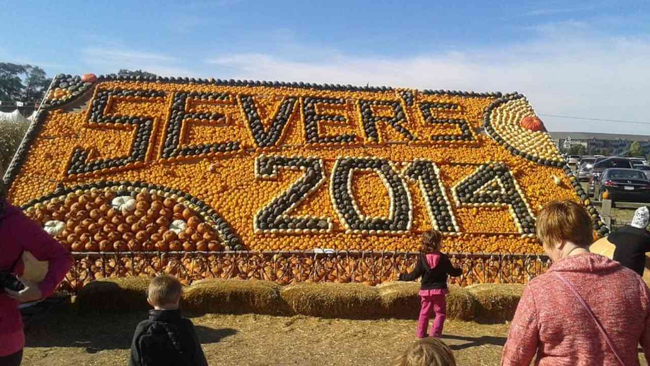 Several people are standing in front of a sign that says severs 2014