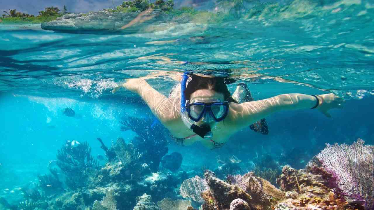 a person snorkeling in the ocean near coral reefs