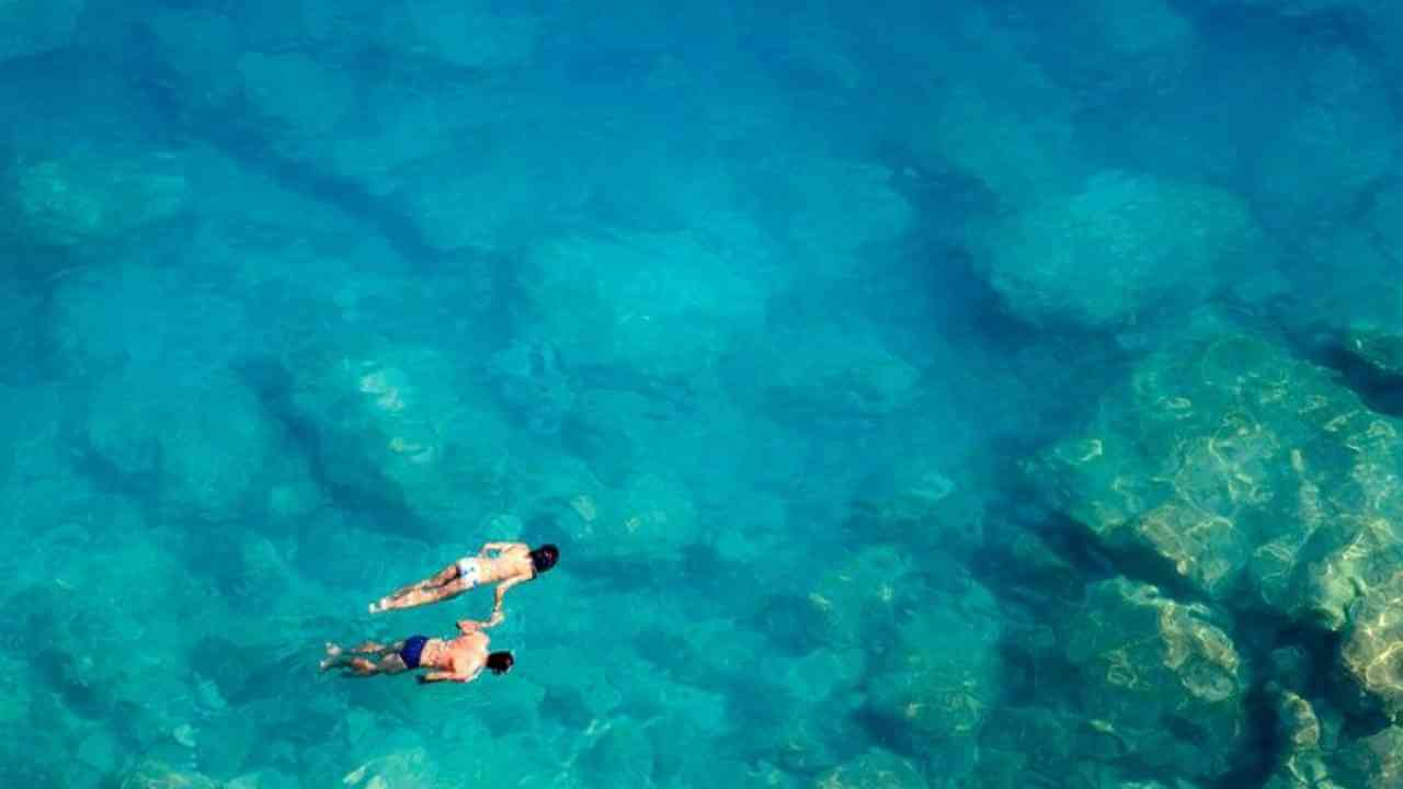 two people swimming in clear blue water