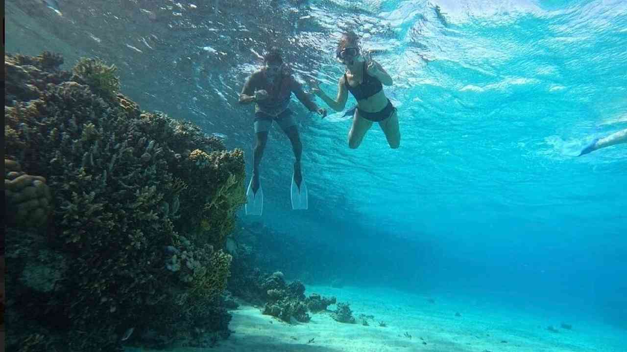 two people snorkeling in the ocean near a coral reef