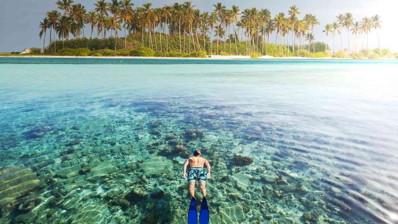 a person snorkeling in the ocean with palm trees in the background