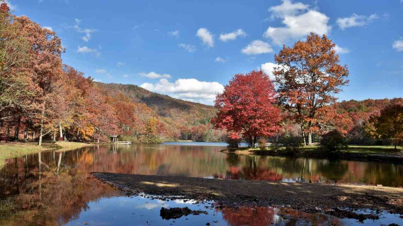 a lake surrounded by trees in the fall