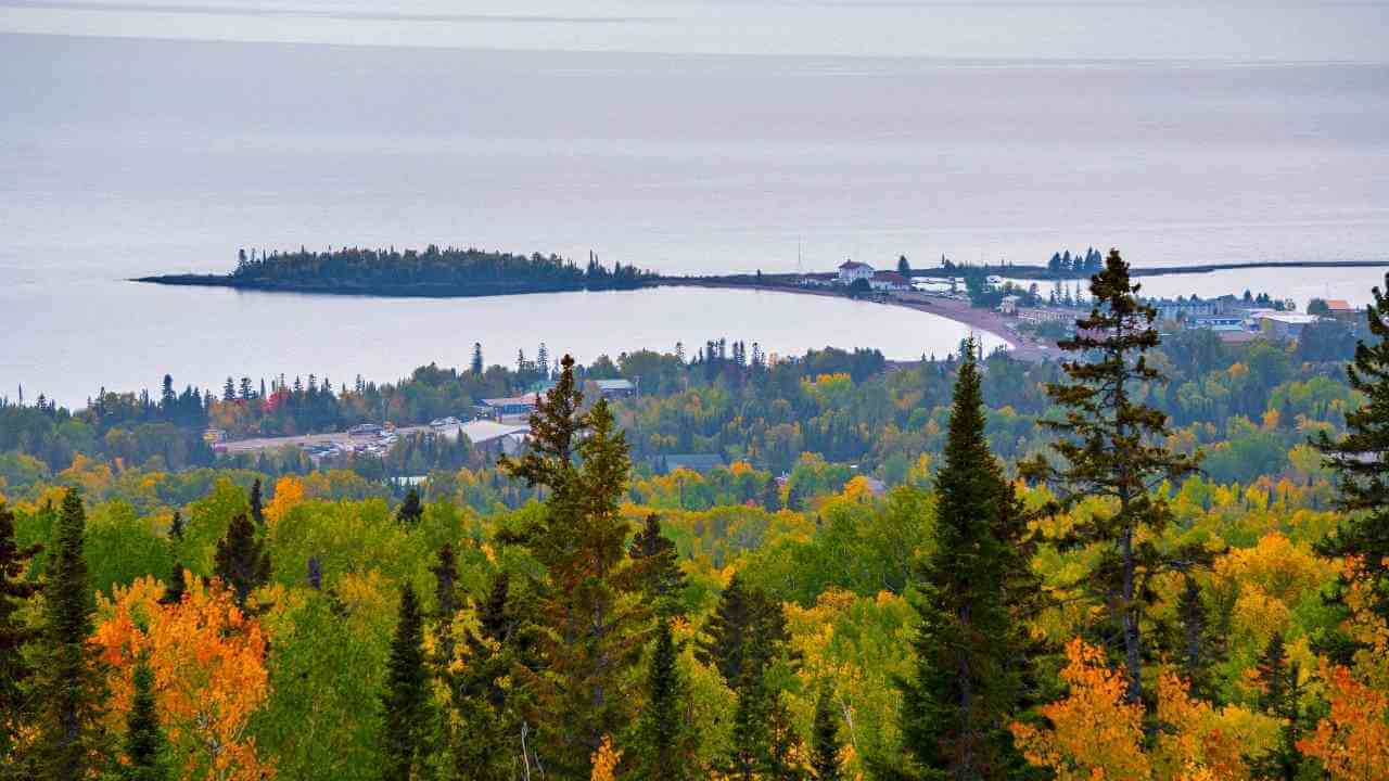 a large body of water in the middle of a forest