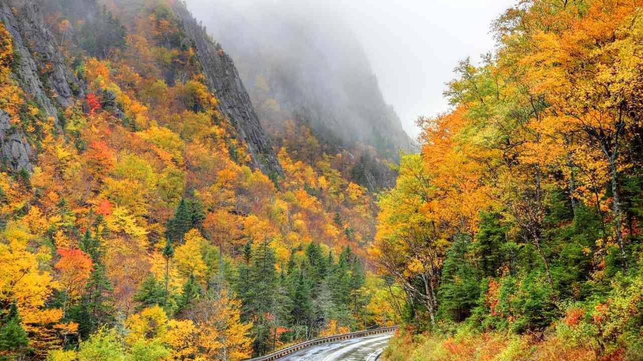 a winding road surrounded by fall foliage in the mountains