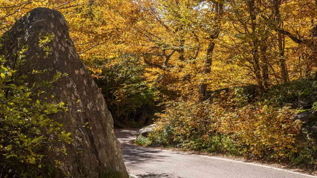 a road with a large rock in the middle of the road