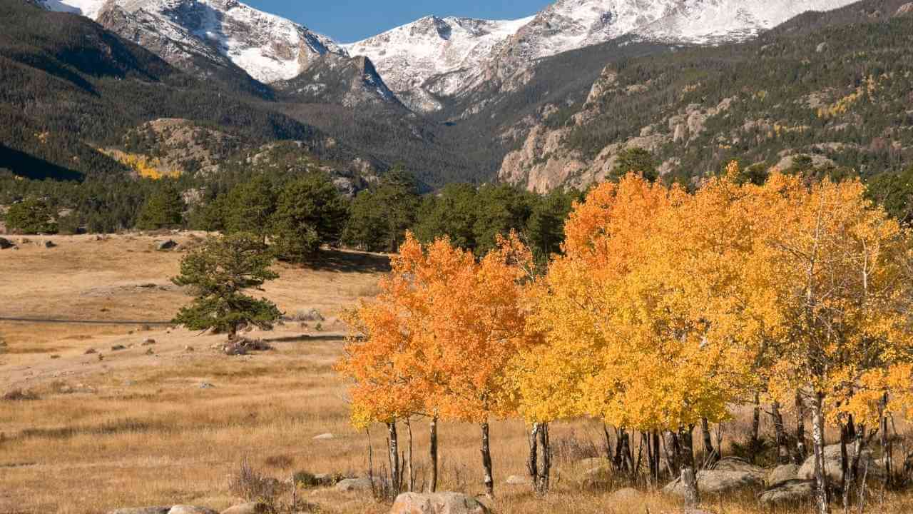 autumn colors in the rocky mountain national park, colorado