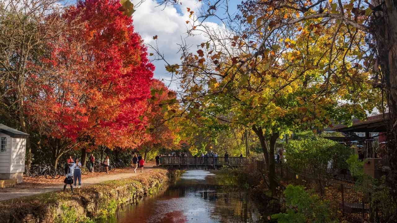 colorful trees line the banks of a canal in the fall