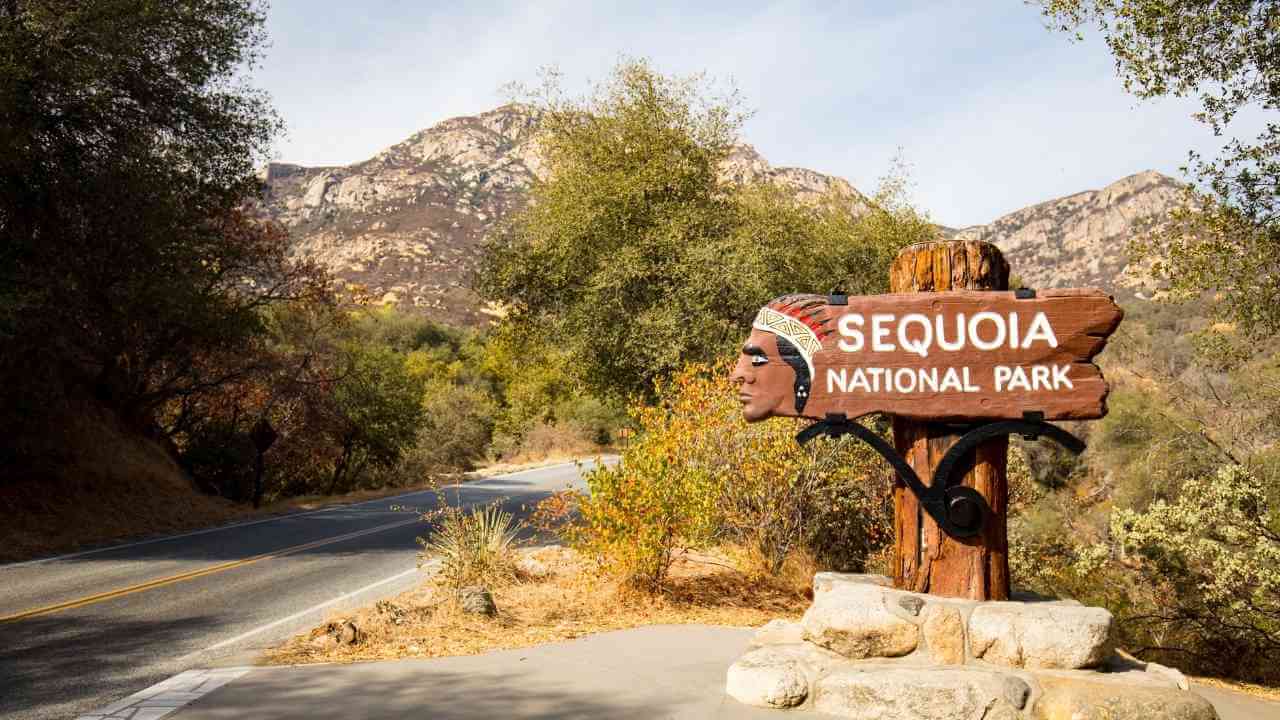 the sierra national forest is the largest national forest in california