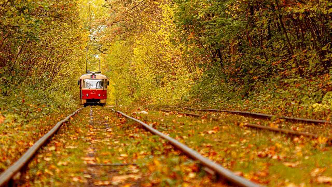 a red train traveling through the woods in the fall