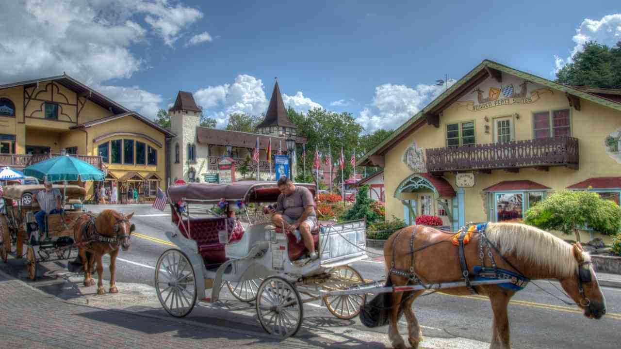 two horses pulling a carriage