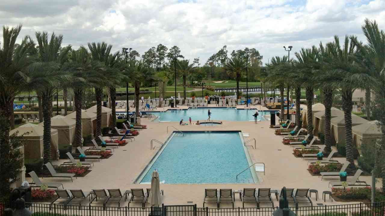 a large pool surrounded by palm trees and lounge chairs