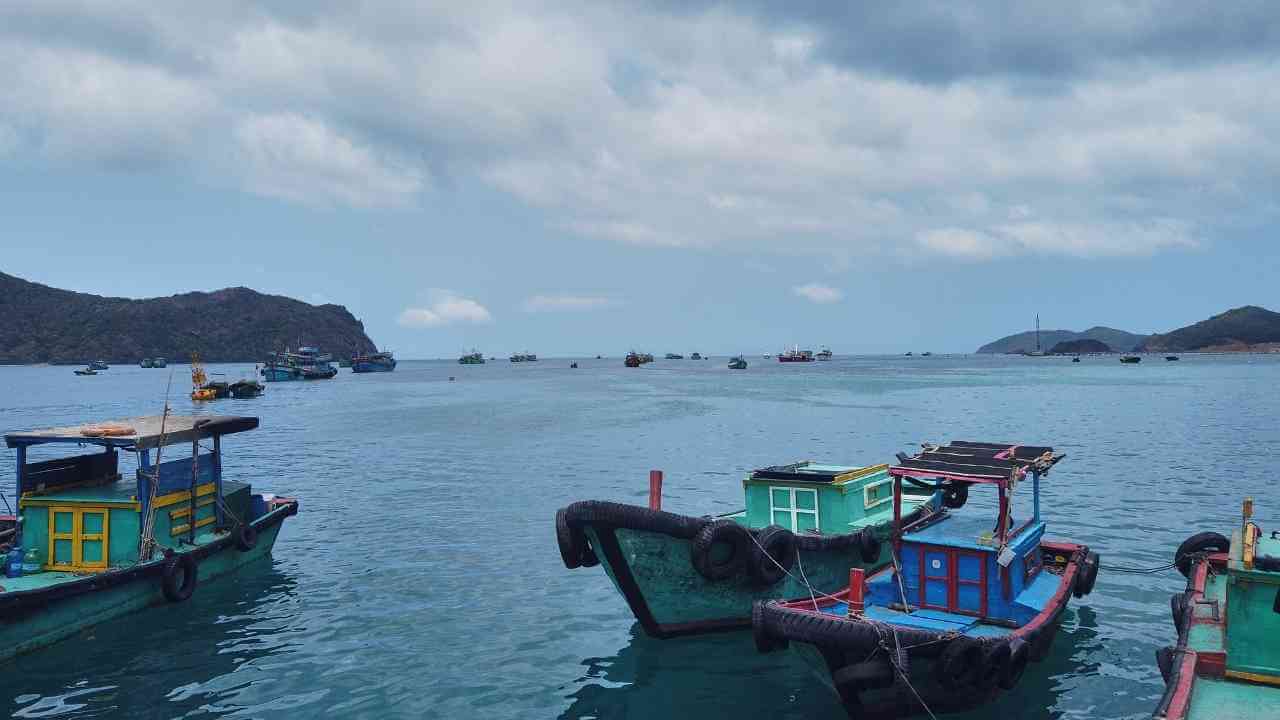 several small boats are docked in the water