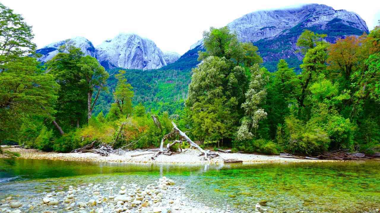 a river in the middle of a forest with mountains in the background