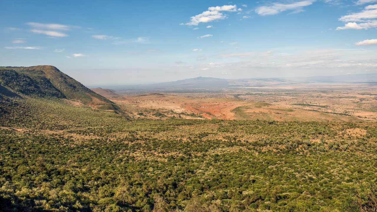 kibale forest national park, kenya - kibale national park stock videos & royalty-free footage