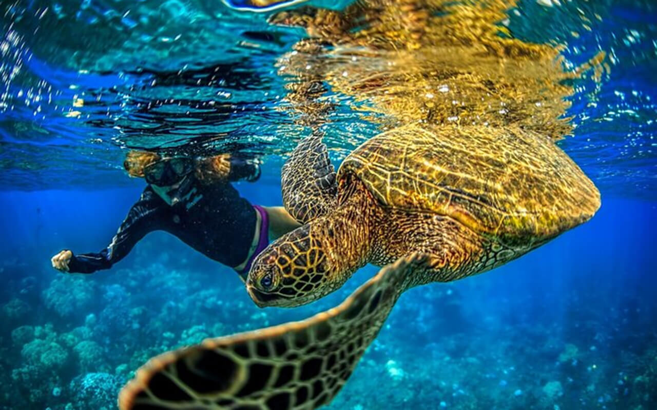 Coral Gardens, Maui