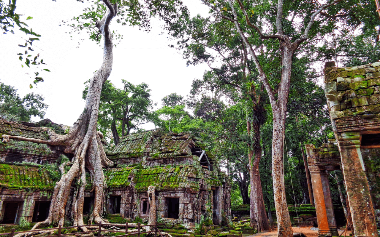 Angkor, Cambodia