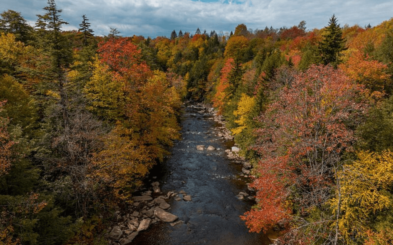 Blackwater Falls State Park, West Virginia