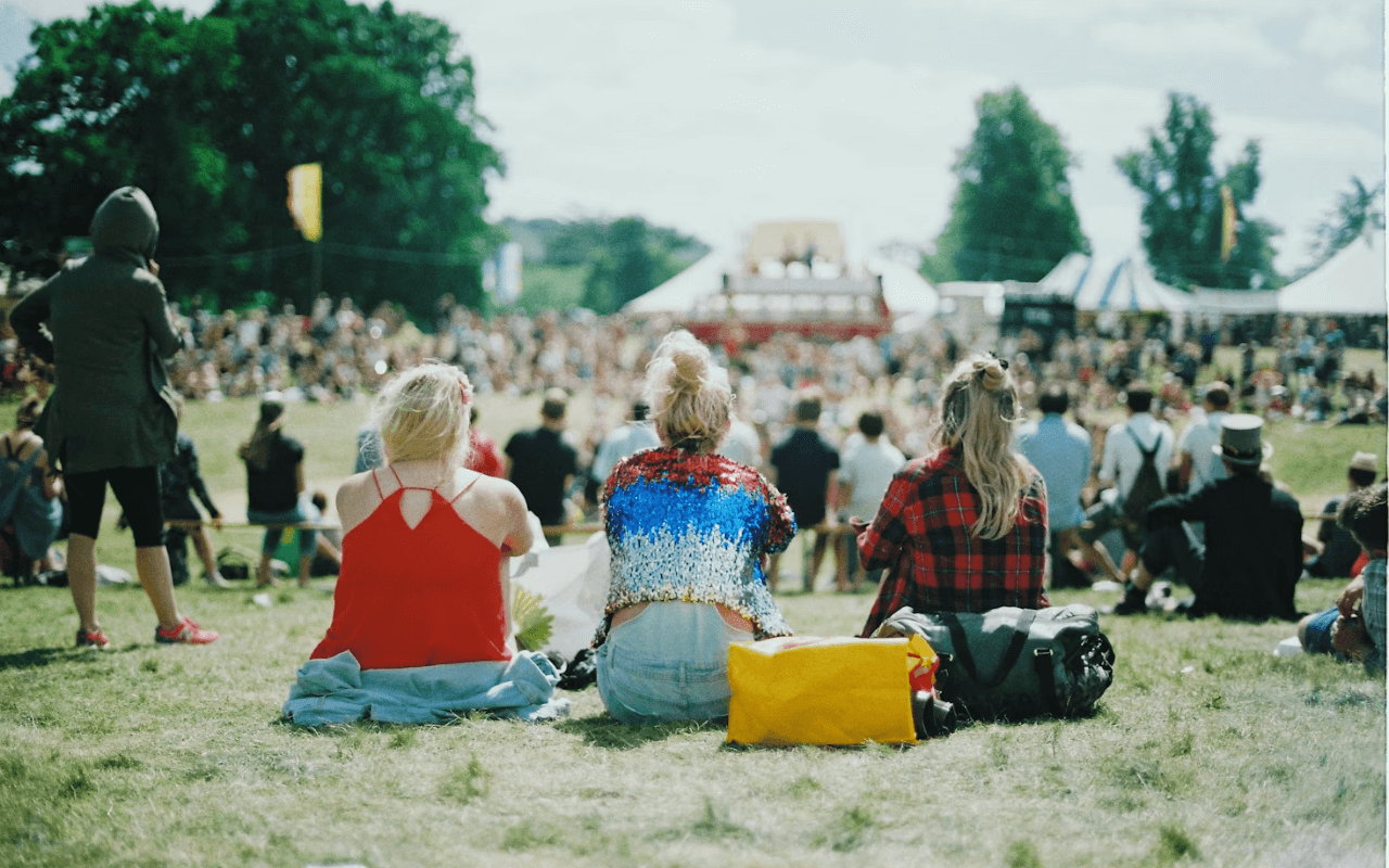 Crowd at a music festival