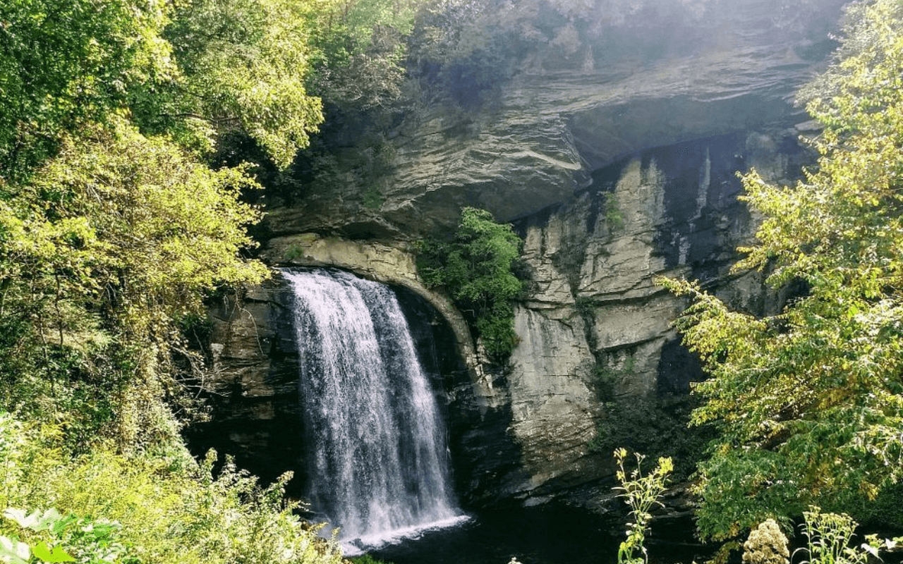 Pisgah National Forest, North Carolina