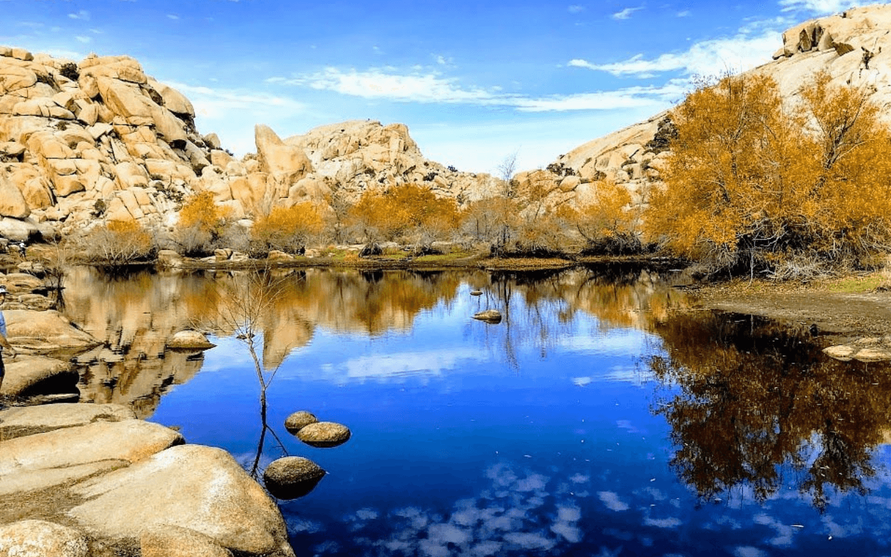 Joshua Tree, California