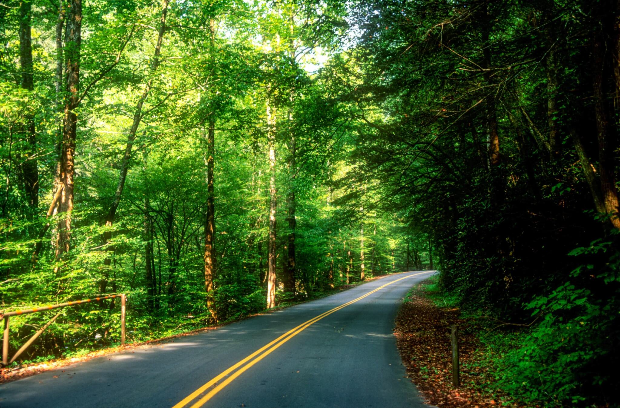 great smoky mountains national park