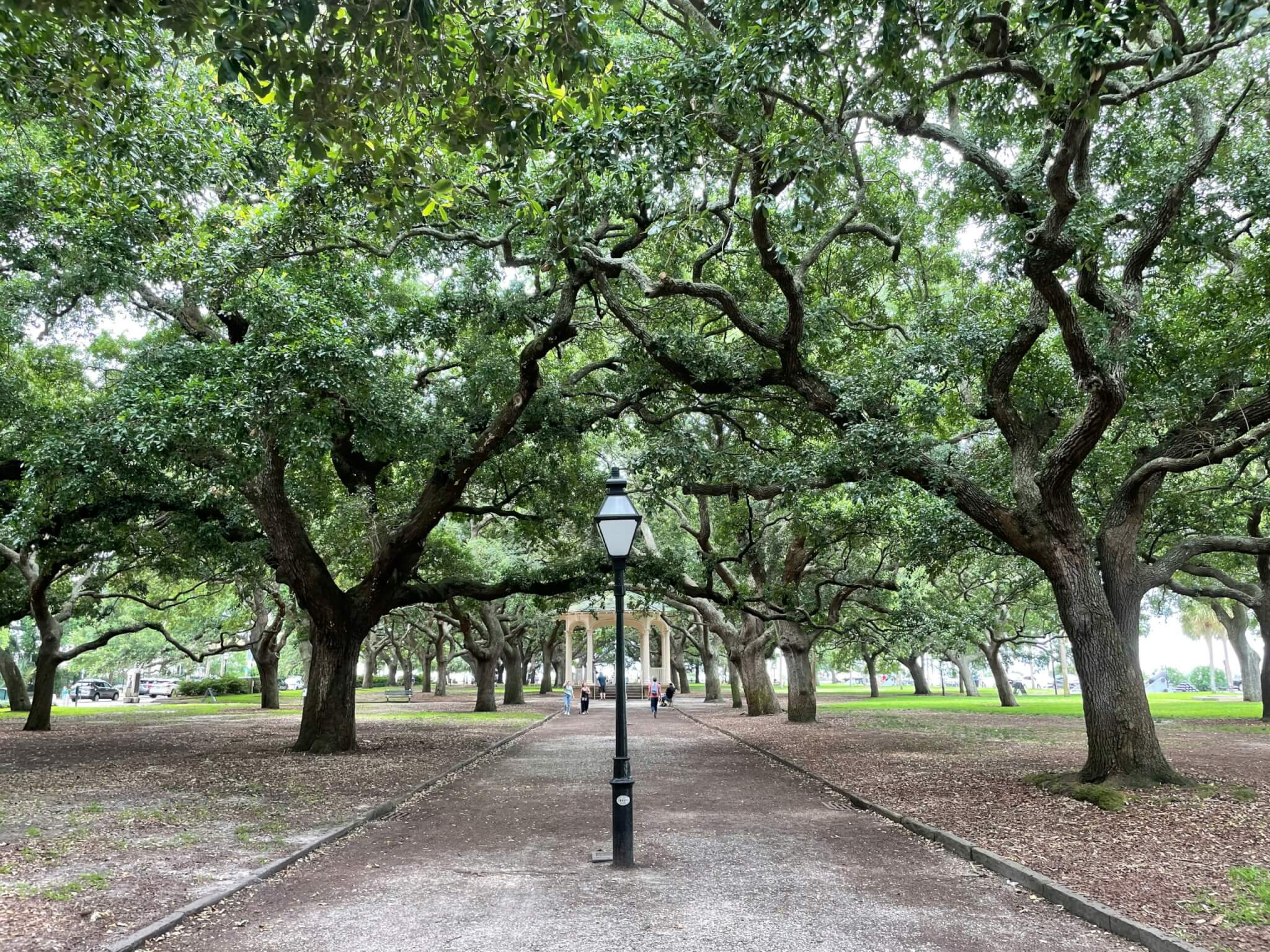 savannah, georgia