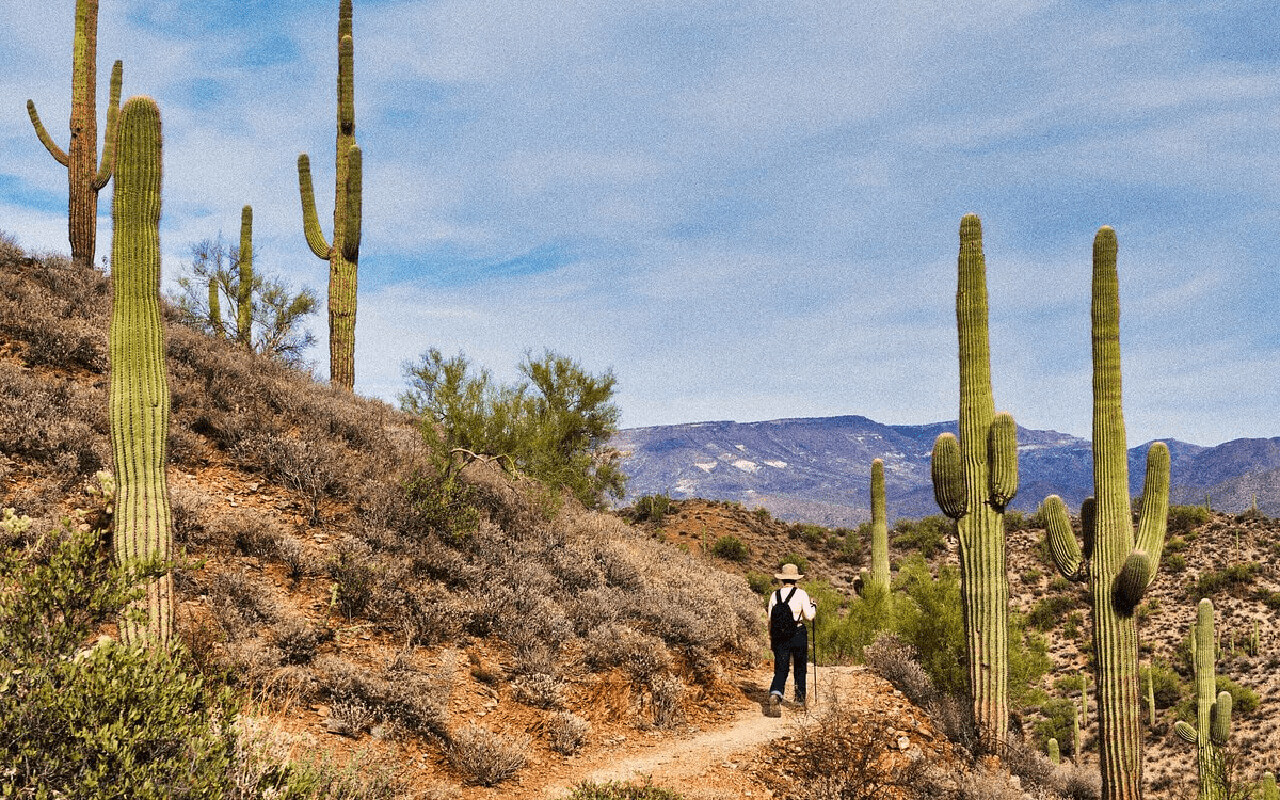 Arizona landscape