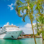 Cruise ship on the horizon with palm trees in the foreground