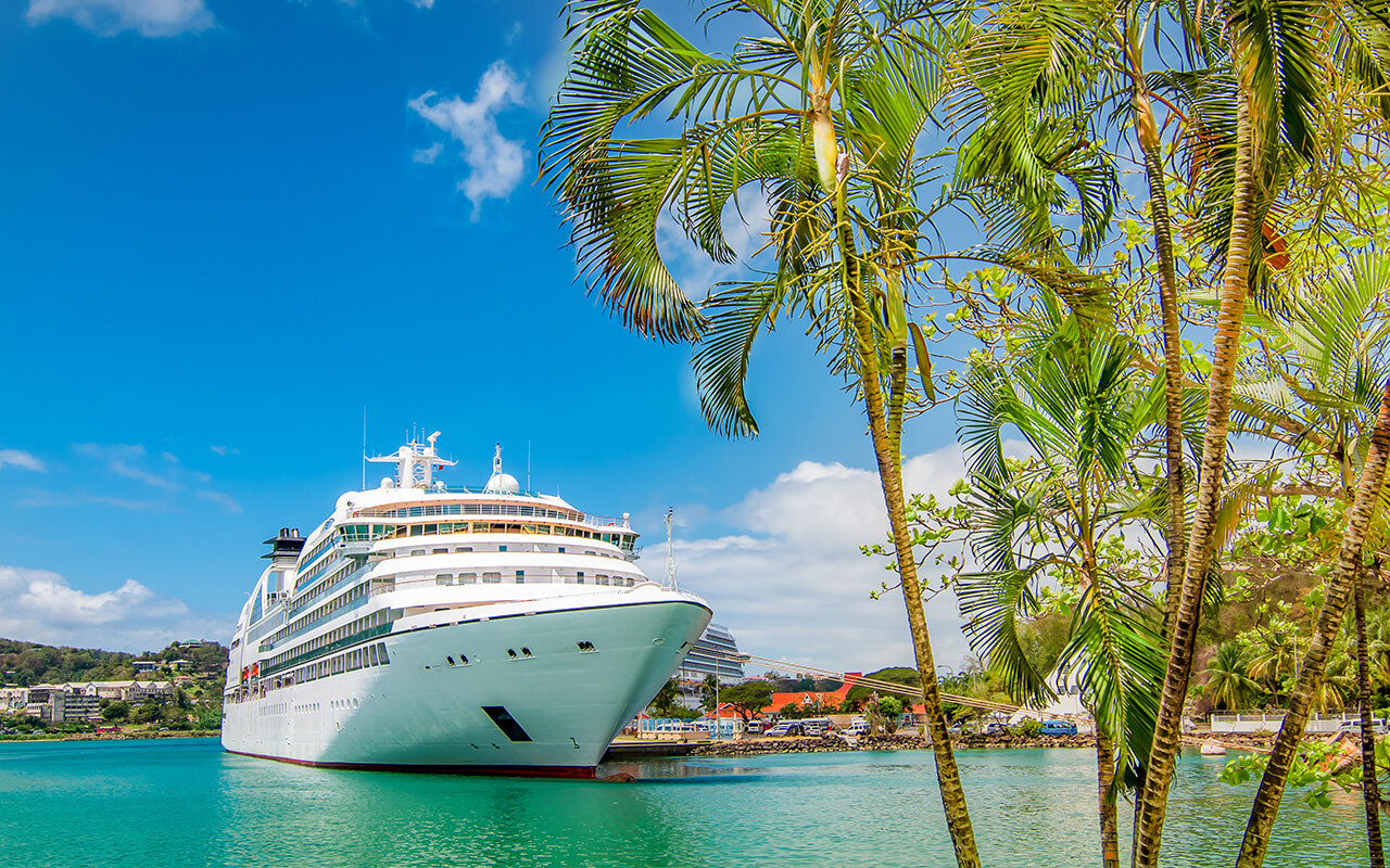 Cruise ship on the horizon with palm trees in the foreground