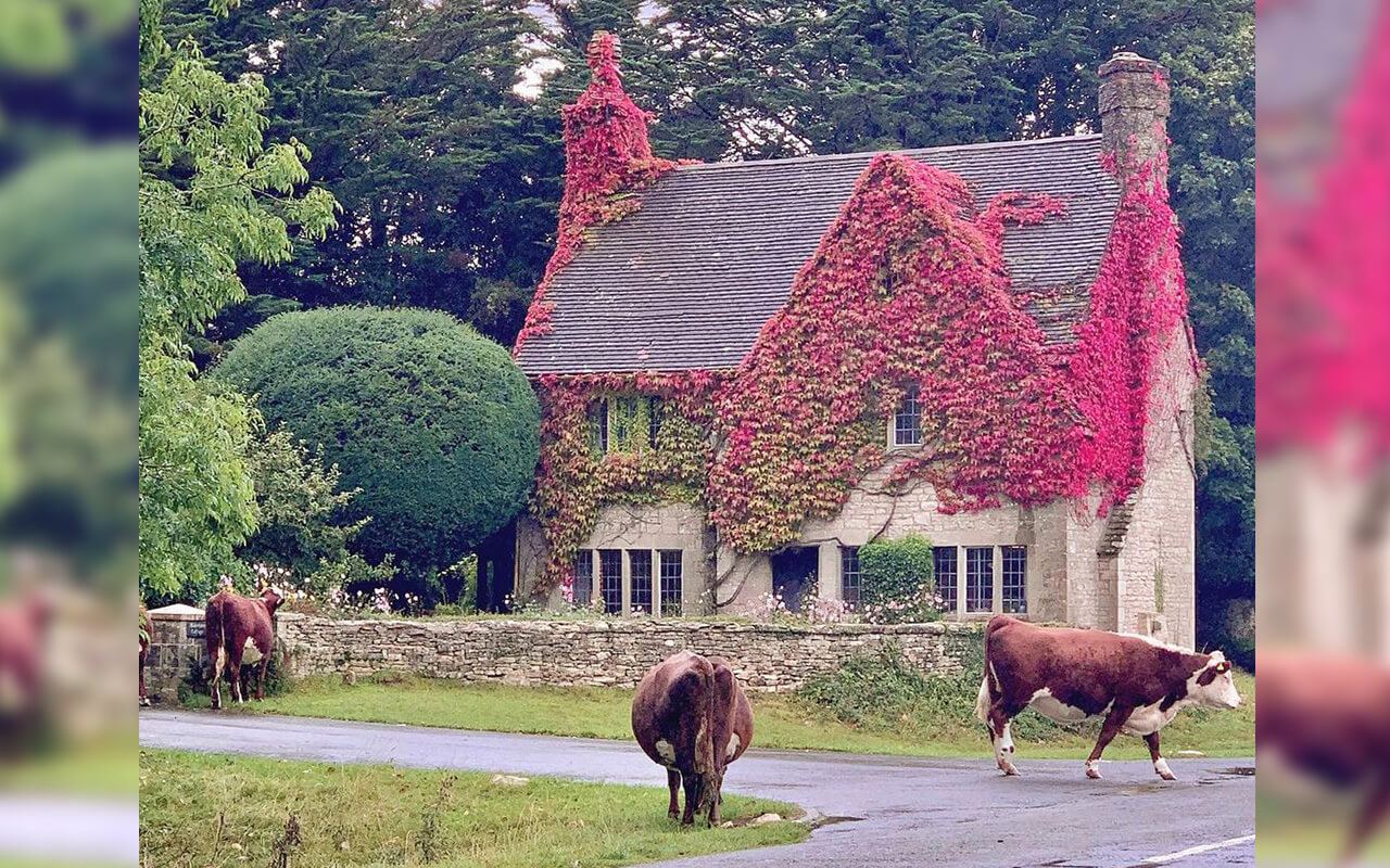 Minchinhampton